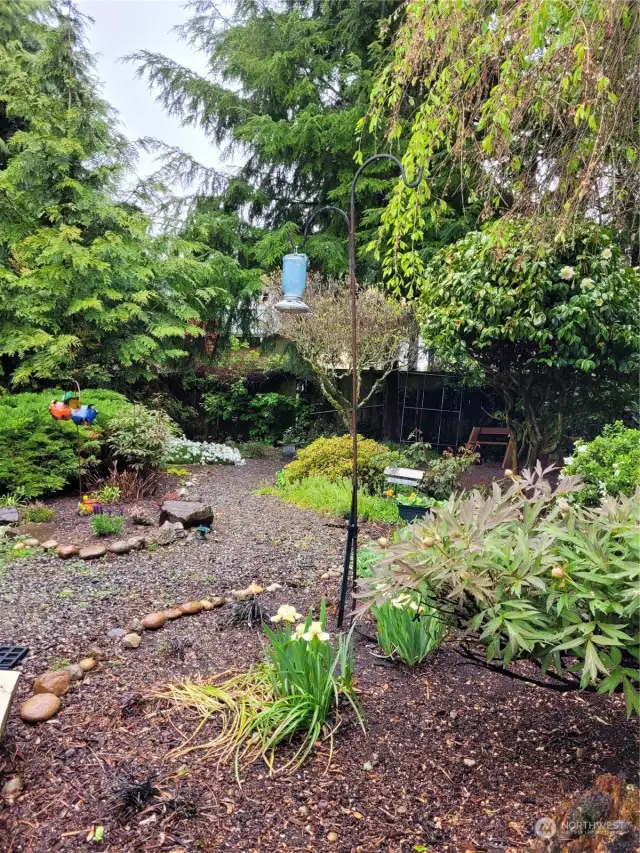 Serene rear yard with amazing private space with walking paths.    Mature Cherry Tree, Rhodie and Dogwood Trees.