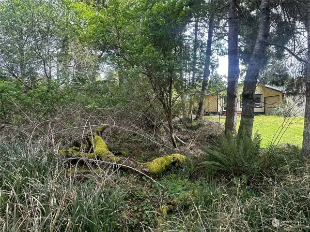 This shows the southern edge of the property, from near the water.