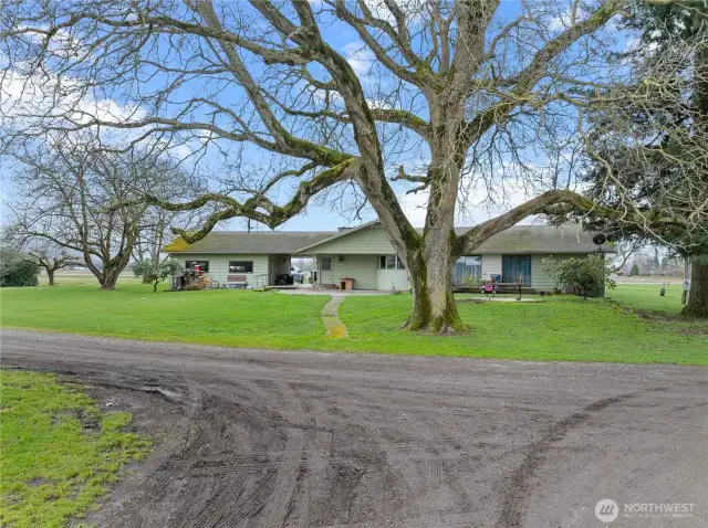 Back side of the main 5 BR home w/ full basement