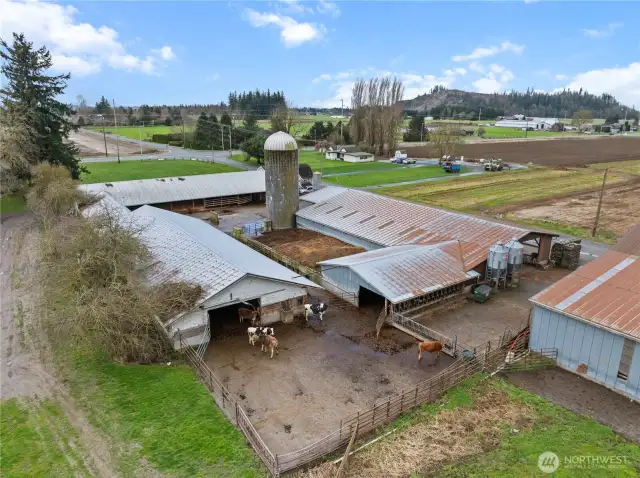 Aerial of the dairy with it's many barns