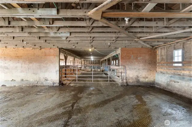 View of the holding pen & stalls in the back