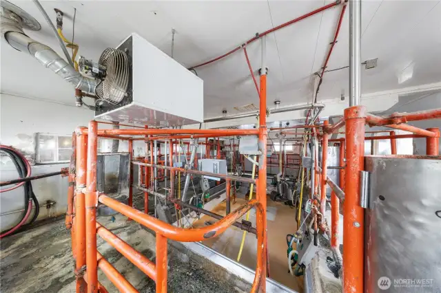 Inside the milking parlor.  Older, but efficient