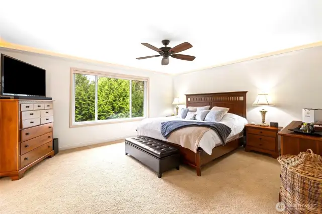 Large Primary Bedroom overlooks peaceful backyard