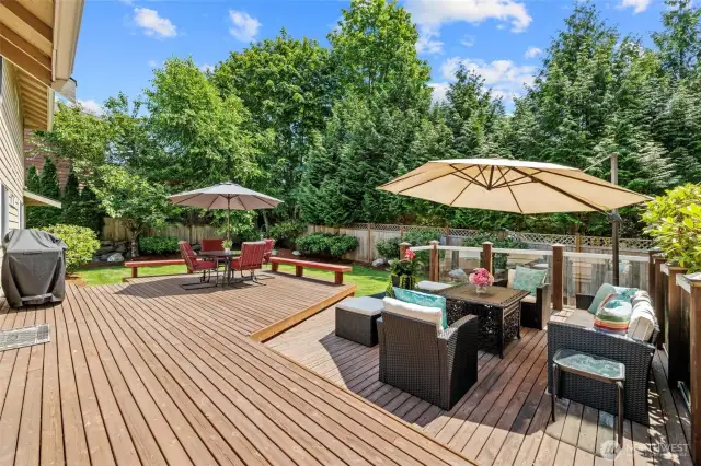Step outside and enjoy this expansive deck