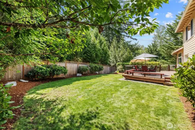 Plenty of yard to enjoy