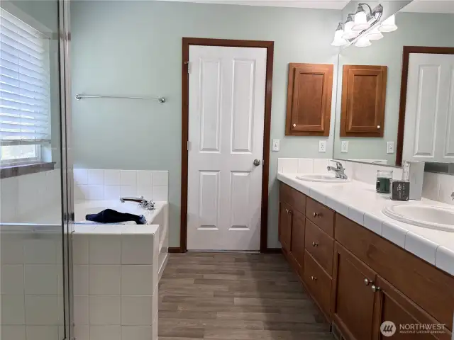 Master shower and bathtub