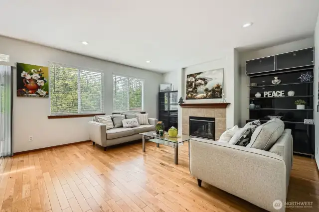 Family room with gas fire place!