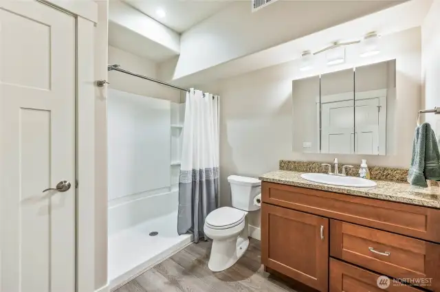 Lower level bathroom