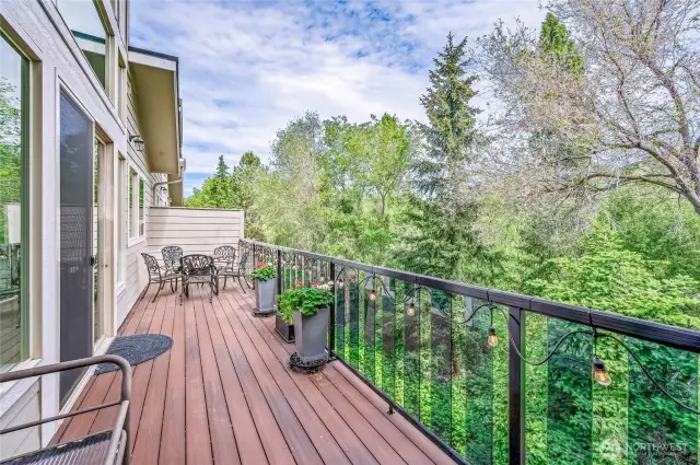 Deck facing Sand Canyon