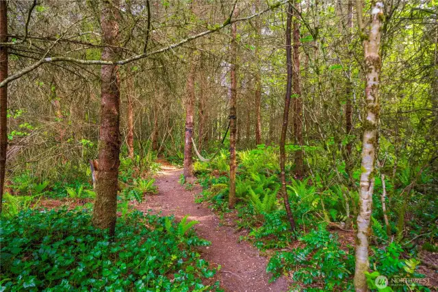 Groomed walking trails