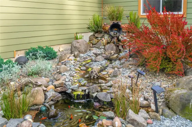Koi Pond
