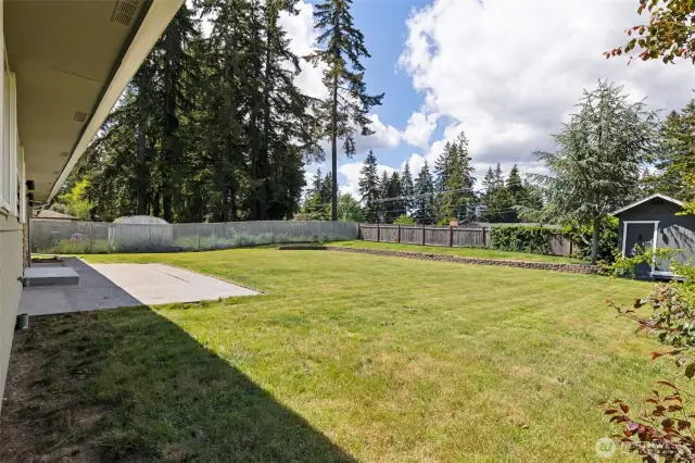 Backyard