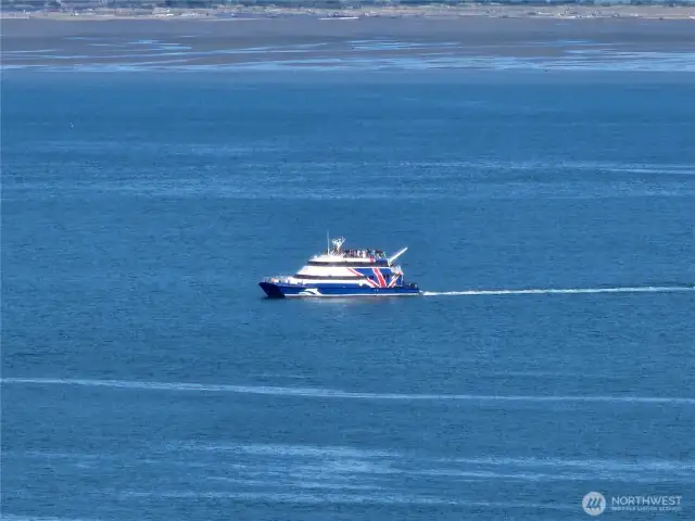 The Victoria Clipper cruises by your deck every day.