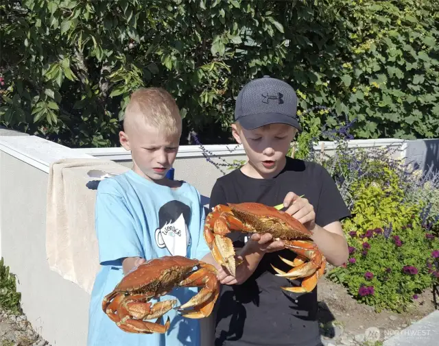 Kids catch crab and do handstands in the warm water. Many memories to come.