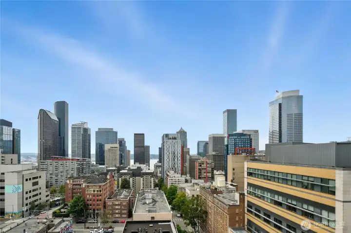 Spectacular westerly views of the city & Sound views from the amazing rooftop deck!