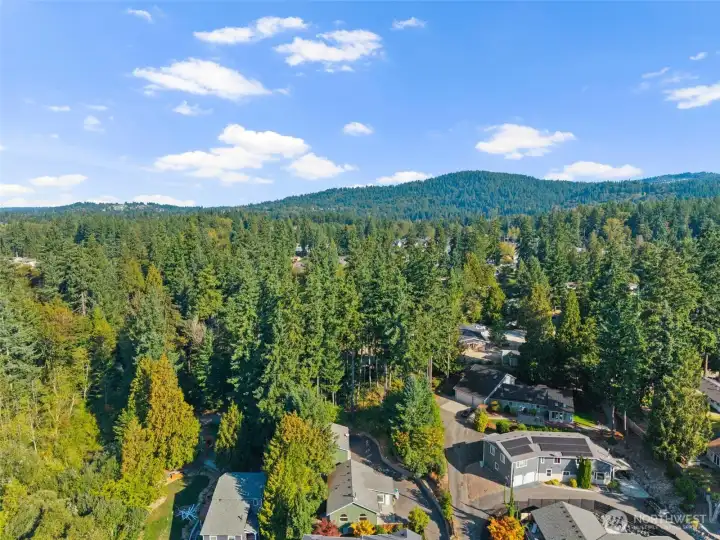 The home feels so private, surrounded by beautiful trees. You can see Cougar Mountain Regional Wildland Park in the distance! It's a short drive to Coal Creek Falls, Maplewood Golf Course, and Licorice Fern Trailhead.
