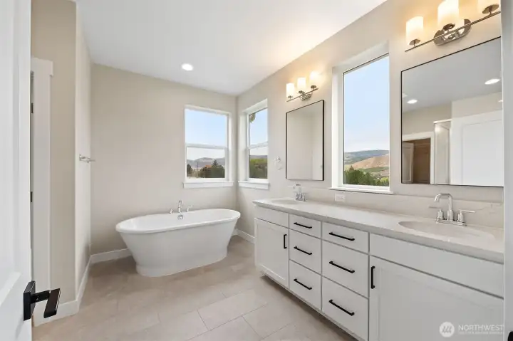 5 point luxurious spa like bath