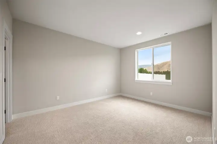 1 of the lower bedrooms