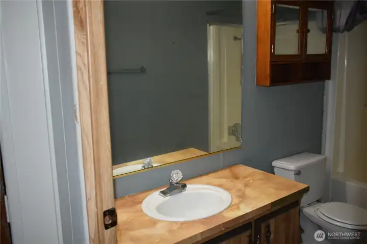 Hall Bathroom