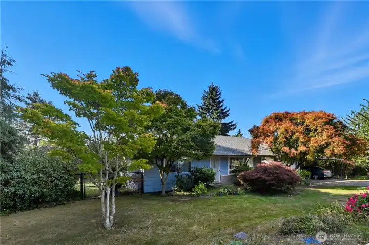 Such a great Rambler home for the developer. Beautifully kept and new roof! Live in this home while you delvelop the second lot or 2 ADU's (buyer to verify)