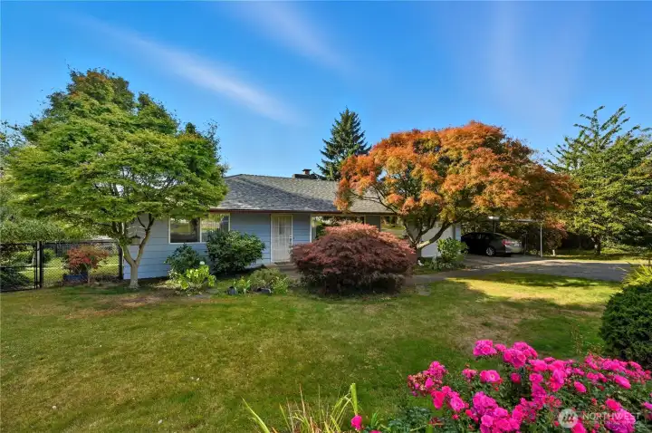 Beautiful home with new roof and double lot (buyer to verify)!