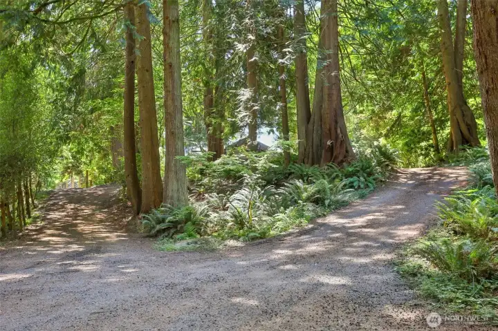 As soon as you drive to the lake, across the street....You will see signs and an incredible,  unbelievable first cedar, circular drive way....