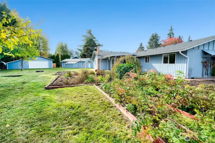 Large backyard with veggie gardens