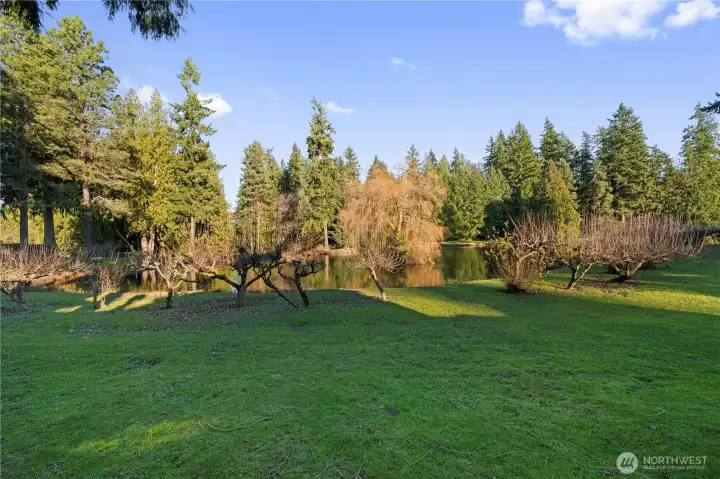 Start your day with a peaceful morning walk around the scenic community lakes.