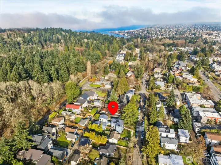 Looking north toward Ballard, the lockes and Salmon Bay