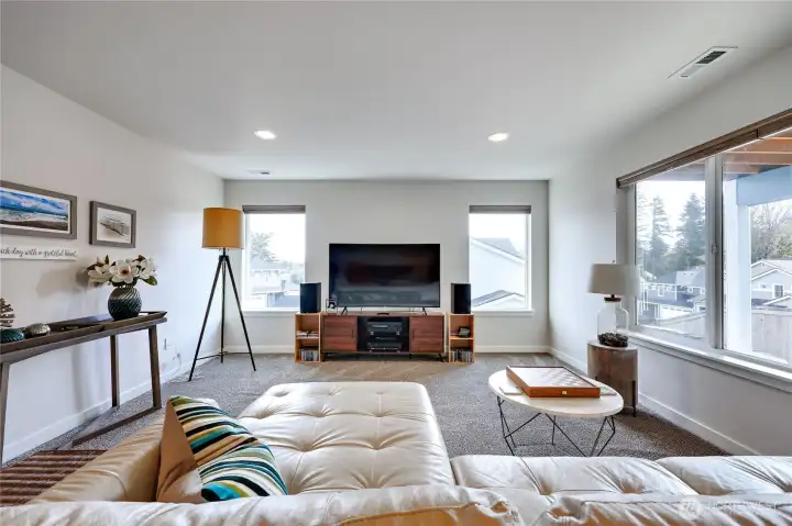 Lower level family room