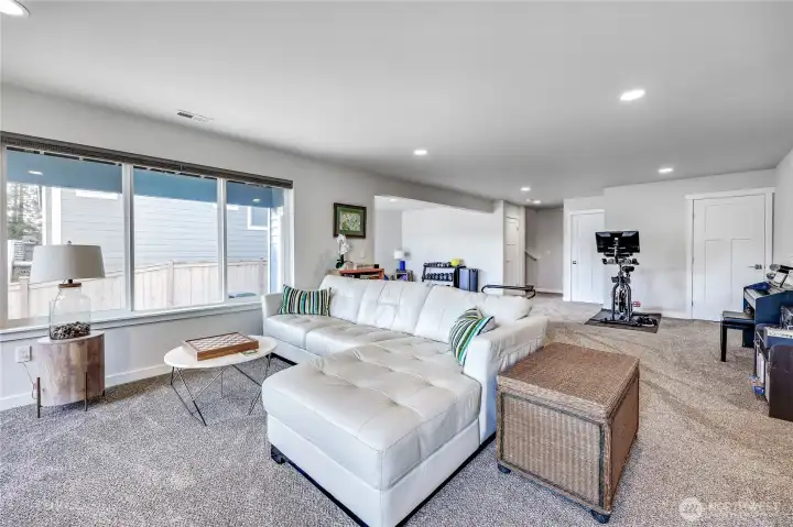 Lower level family room