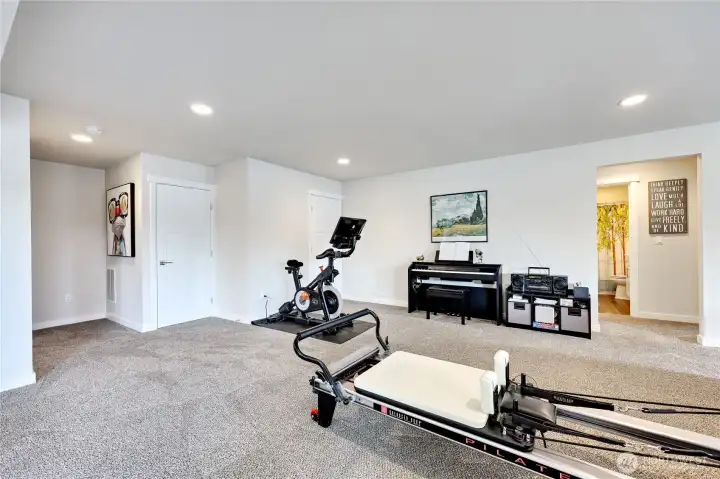 Lower level family room