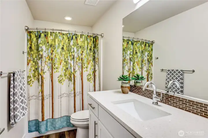 Lower level full bath