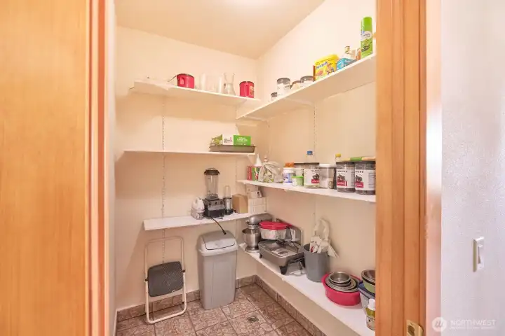 Large walk-in pantry keeps counter clutter to a minimum
