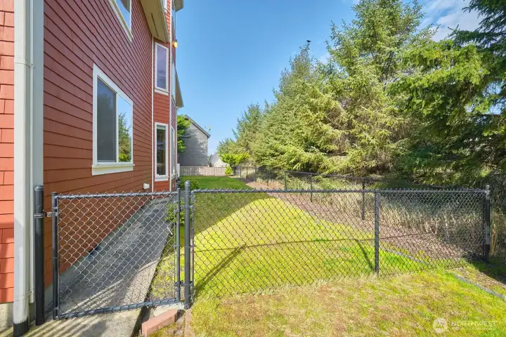 Back of house showing treed and fenced yard