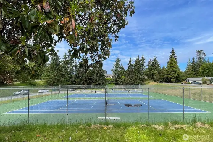 Tennis & pickleball courts
