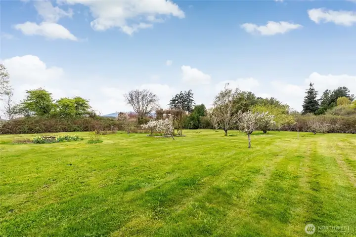 Level and rolling grounds