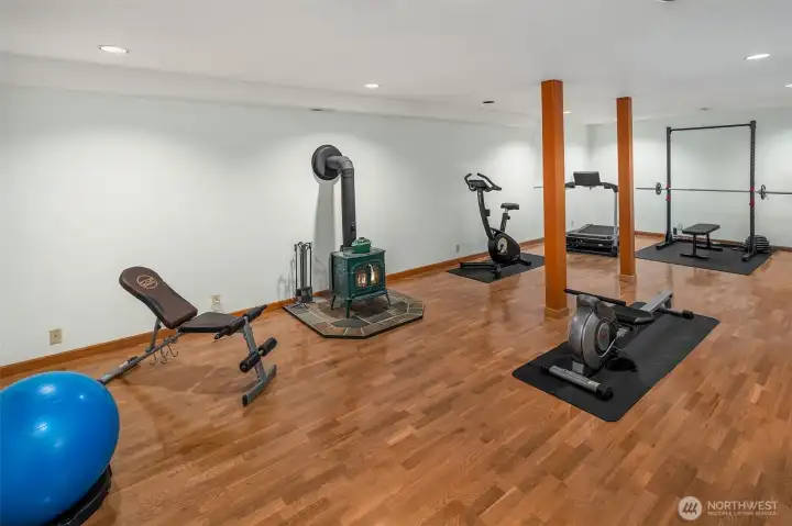 Lower level 450 sq ft gym or media room. That's a wood stove for cozy times!