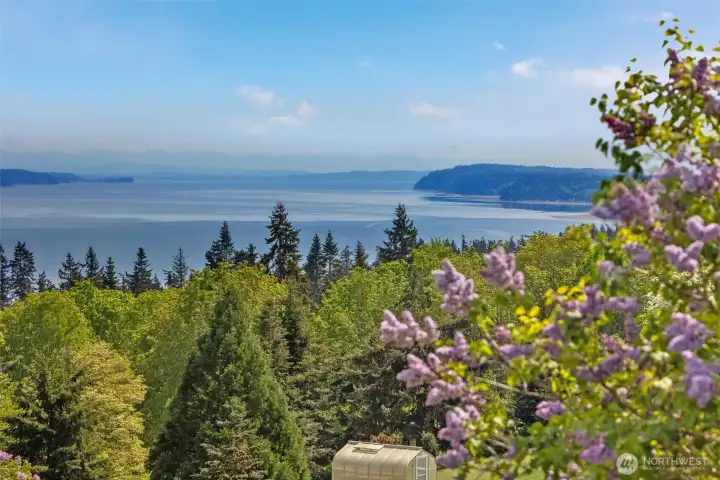On clear days you can even see Mt. Rainier!