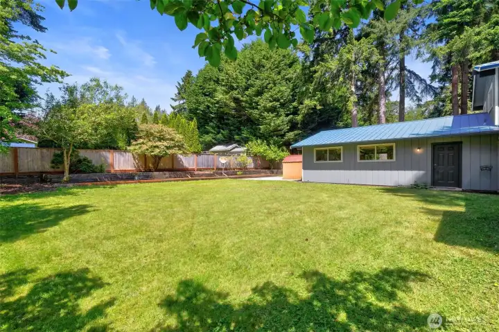 Spacious level backyard Plenty of room to garden! Spacious level backyard Plenty of room to garden!