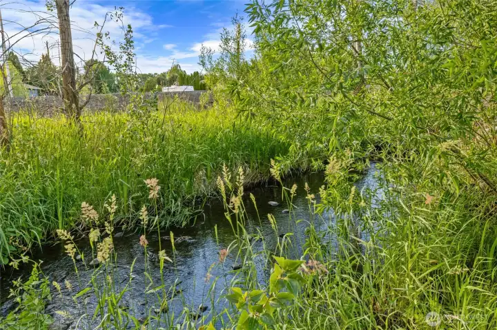Nearby Creek Nearby Creek