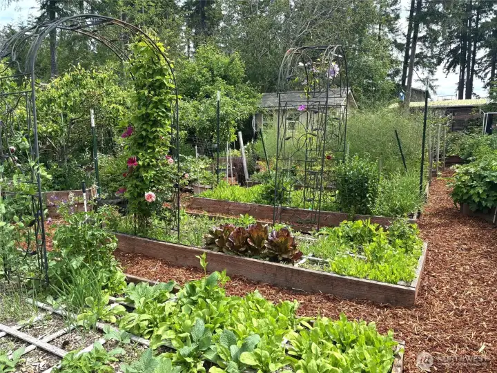 The large enclosed garden is incredible and ready to enjoy!