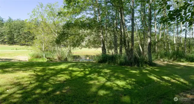 Pond water is used to irrigate the garden.