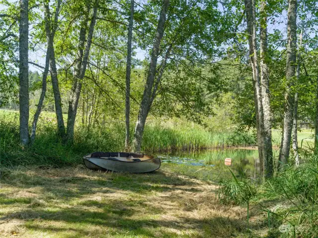 Another view of the pond.