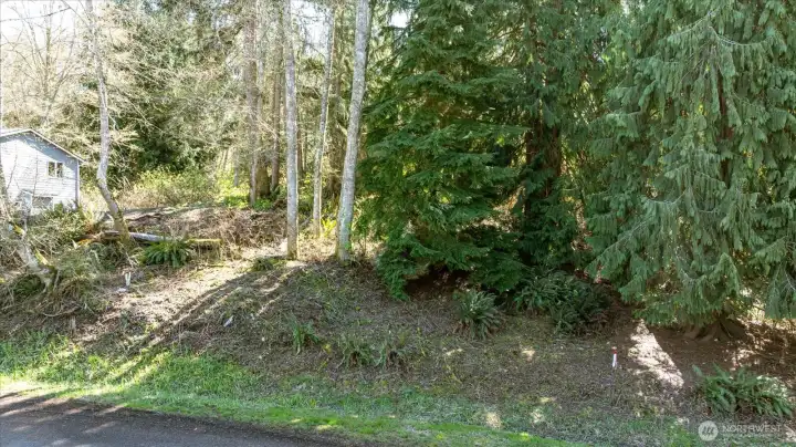 Recently cleared out the front section of property