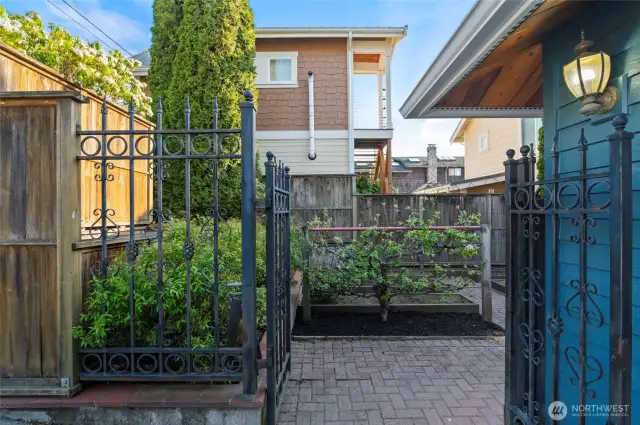 Gated side entry to small garden with fruit trees