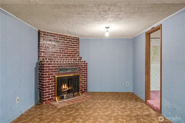 Lower level bonus space and fireplace.