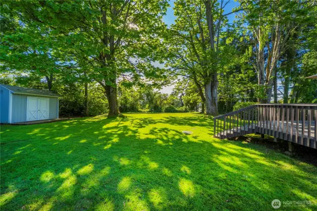 Absolutely huge yard!  Lots of room for DADU’s or potential to subdivide or short plat.