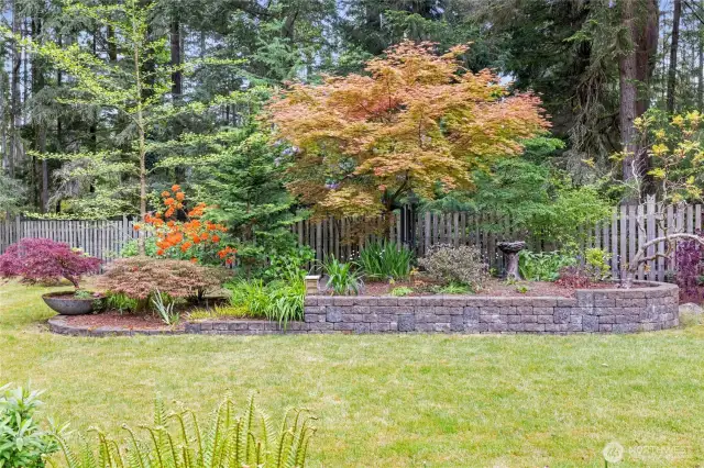 This is the front yard. Sitting quietly an the end of the cul-de -sac, this is such a quiet spot!