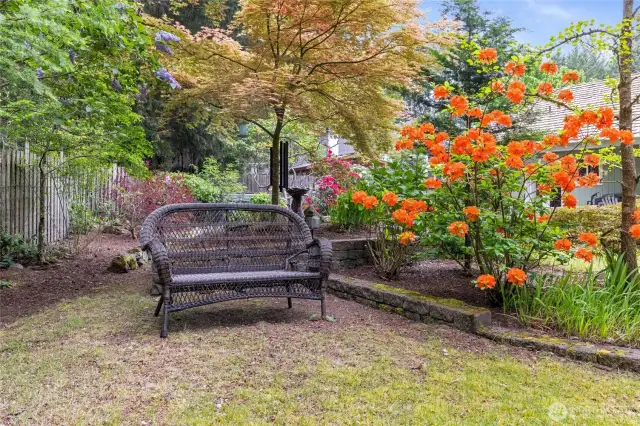 Just one corner of paradise in the back yard.